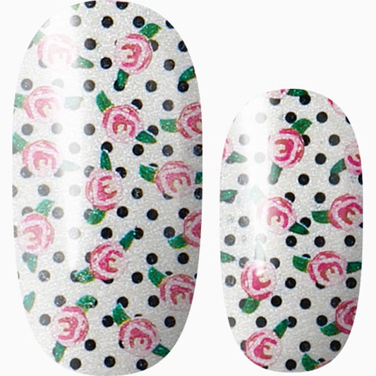 Dotty for You