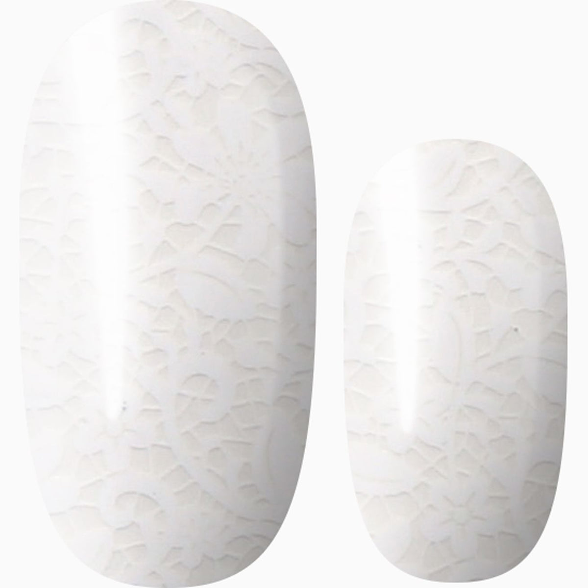 Chantilly Lace (transparent)