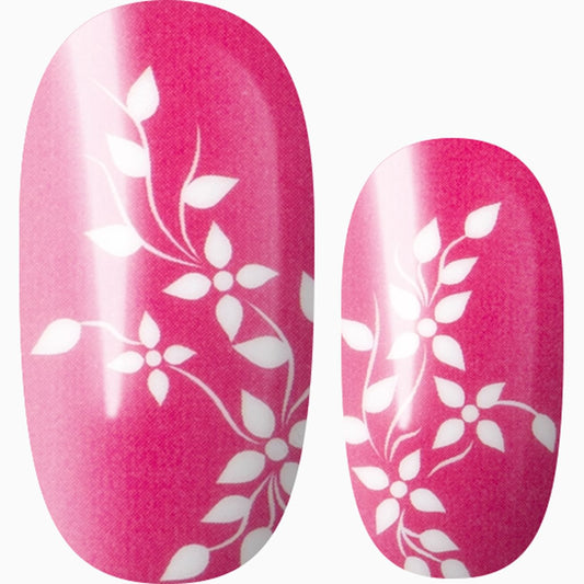 Pink Ivy