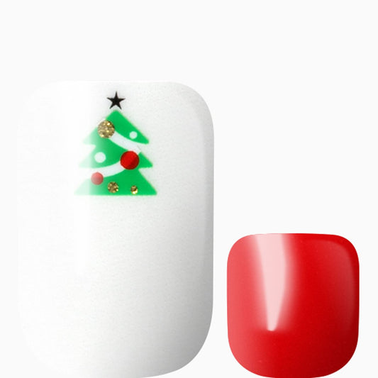 Christmas Glam (Transparent Pedicure)