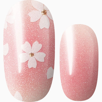 Love Petals