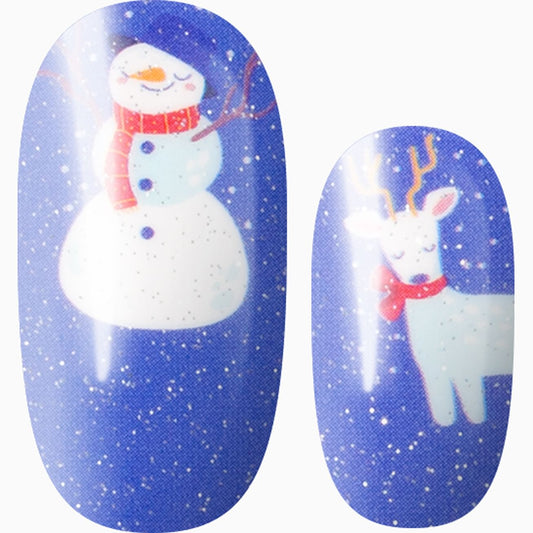 Snowy Shimmer