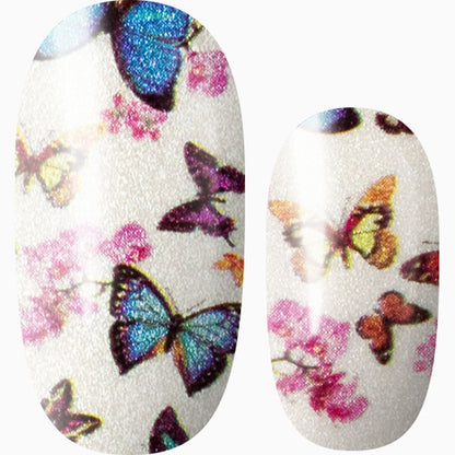 Flutter By