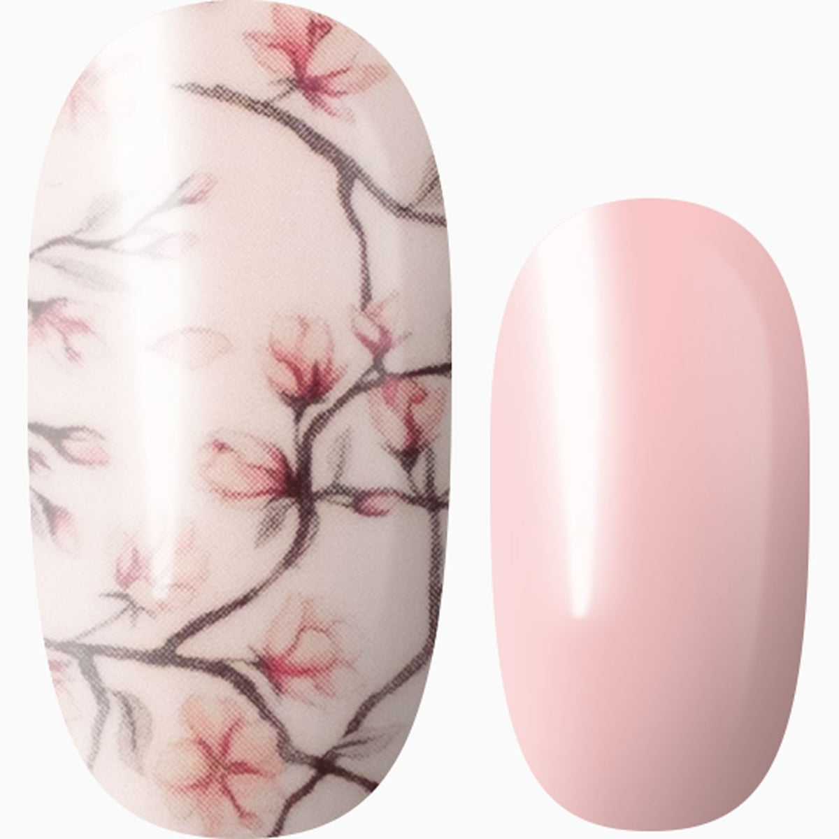 Cherry Blossom Bliss