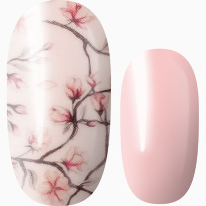 Cherry Blossom Bliss