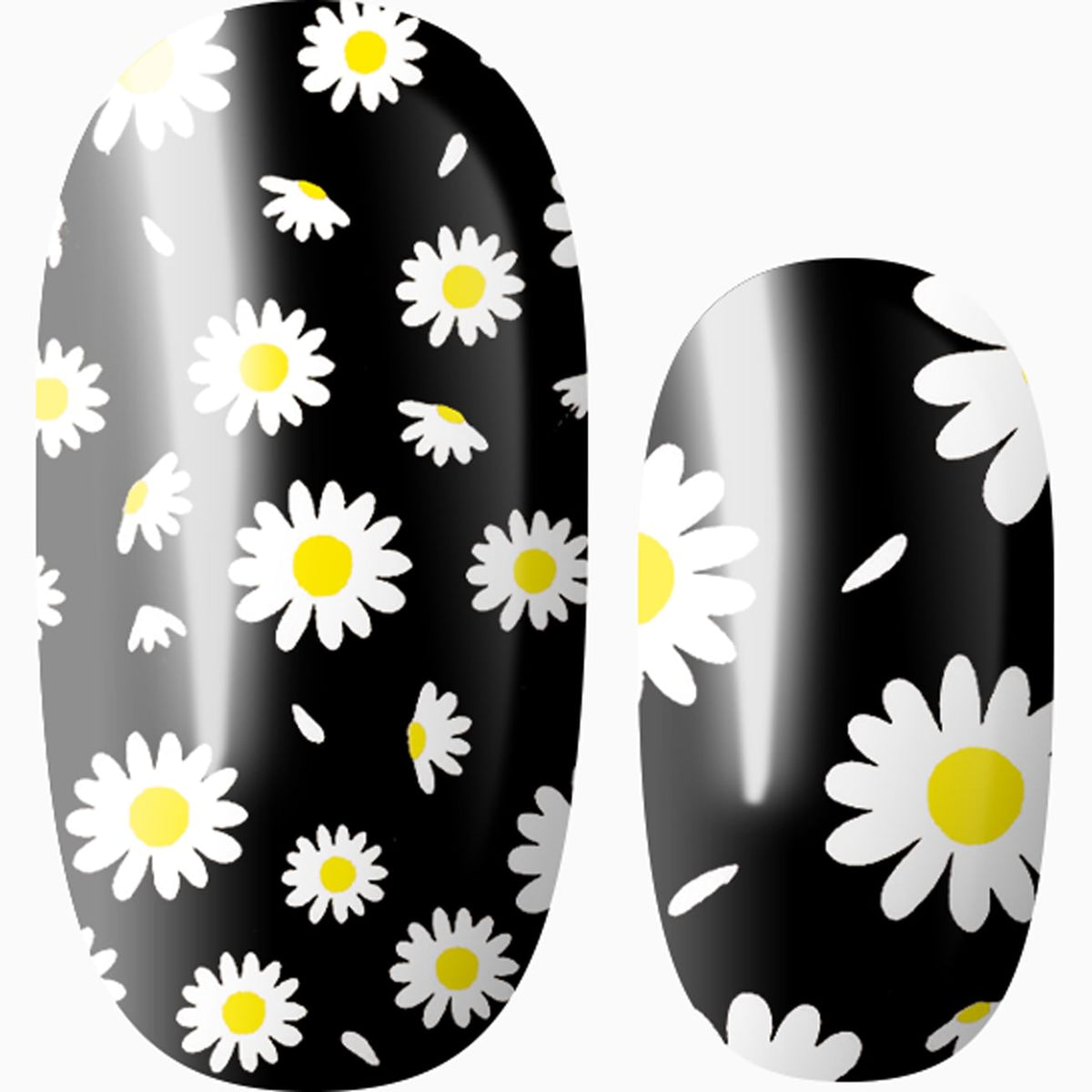 Once Upon A Daisy