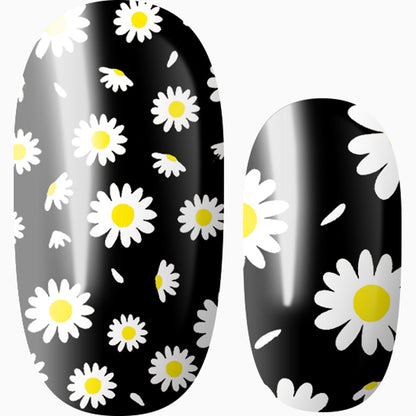 Once Upon A Daisy