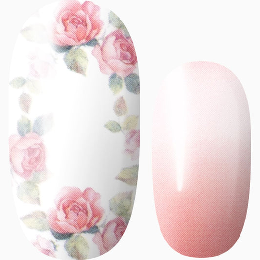 Crown of Roses