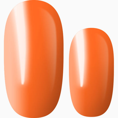 Orange You Glad To See Me