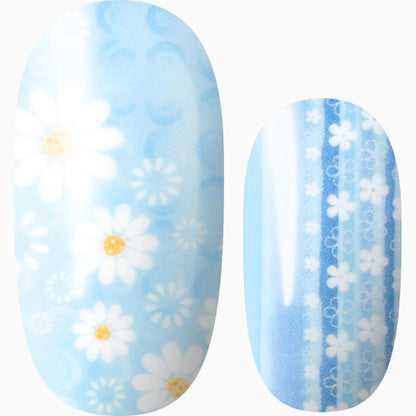 Daisy Dukes
