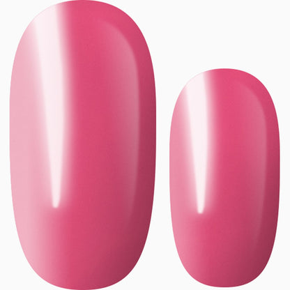 Pink Paradise