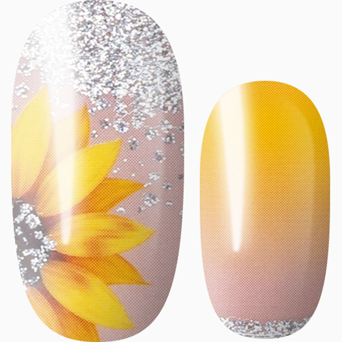 Touch Of Sunshine