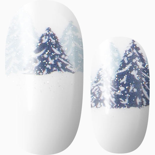 Frosty Wonderland