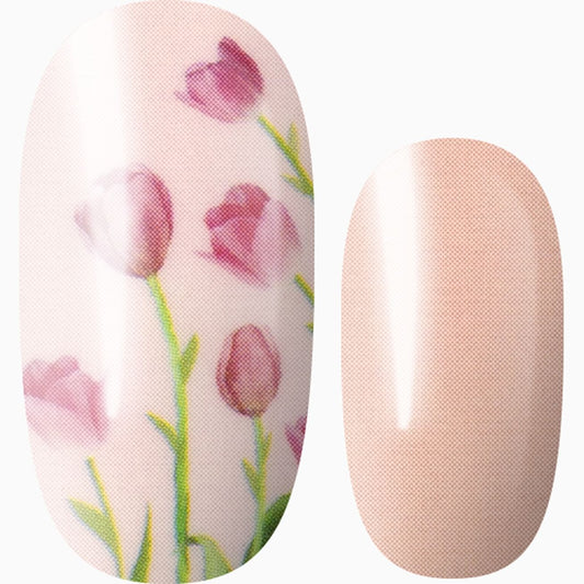Elegant Tulips