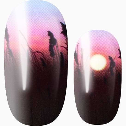 Romantic Sunset