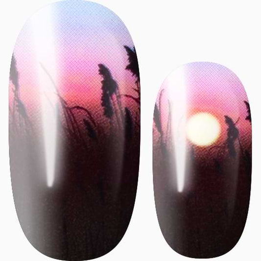 Romantic Sunset