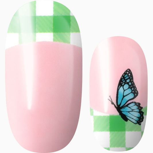 Butterfly Picnic