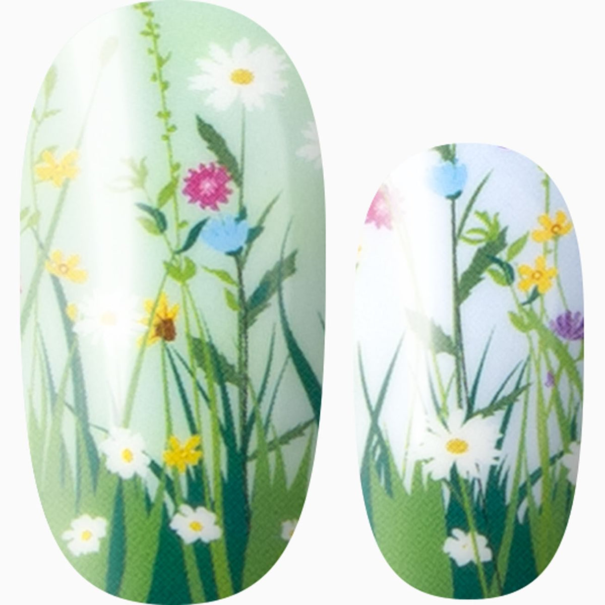 Gentle Spring