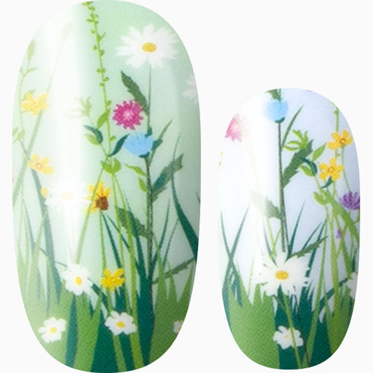 Gentle Spring