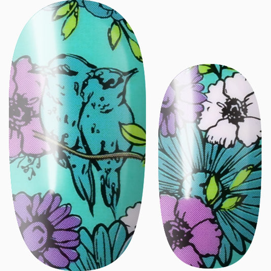Birds of Spring