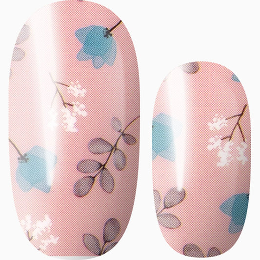 Soft Spring
