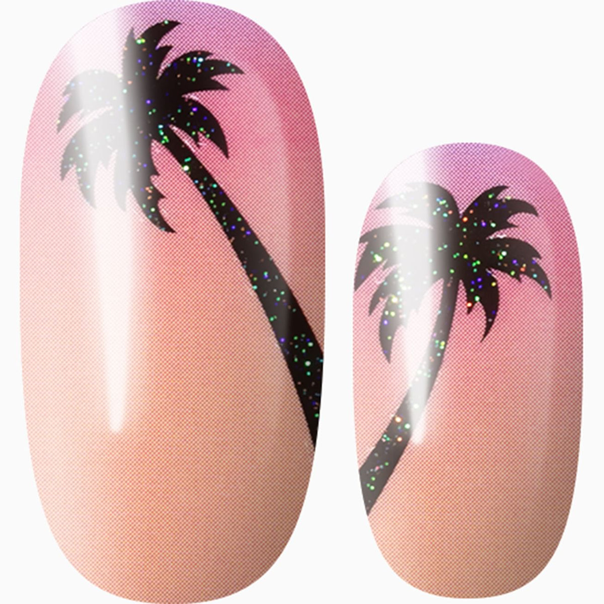 Sun-Kissed Palms