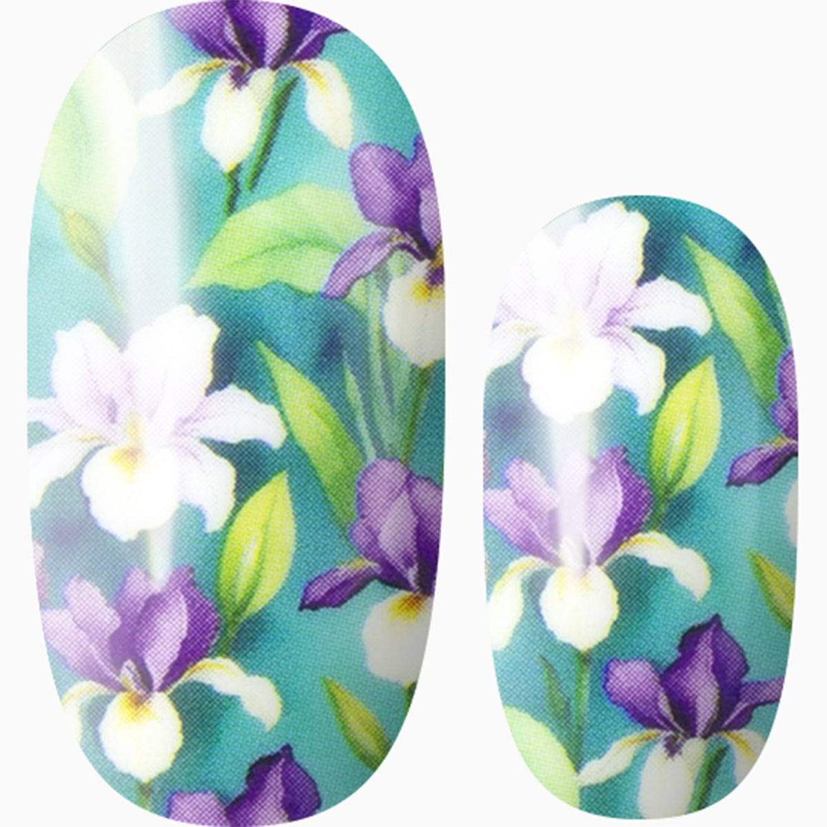 Timeless Blooms