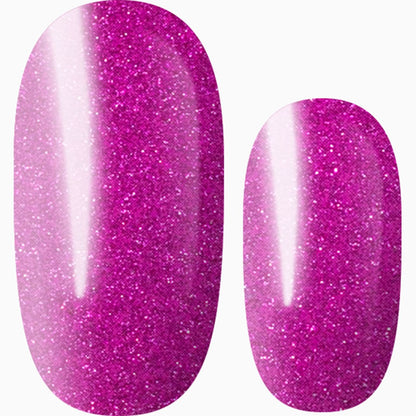 Fuchsia Fantasy