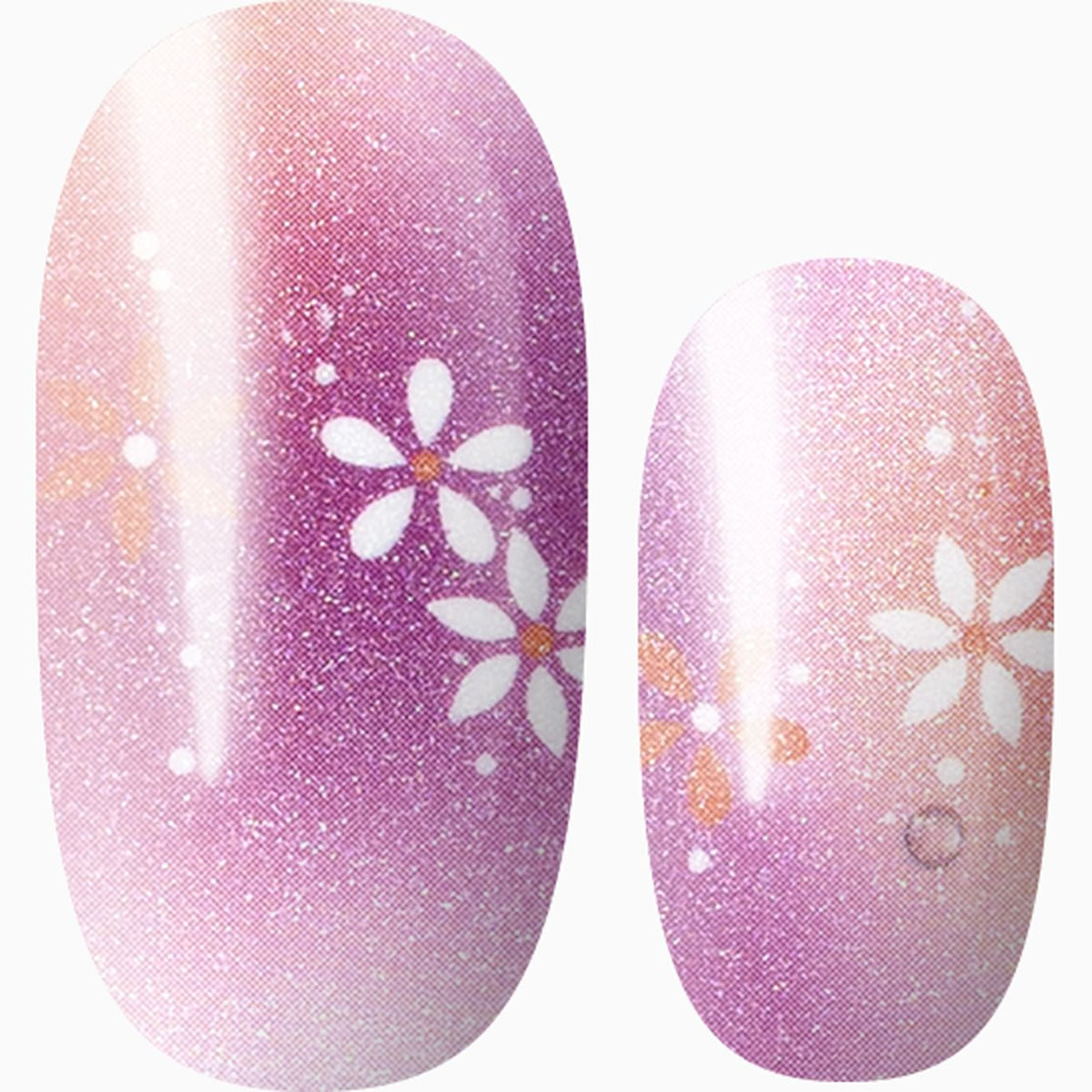 Pink Blossom