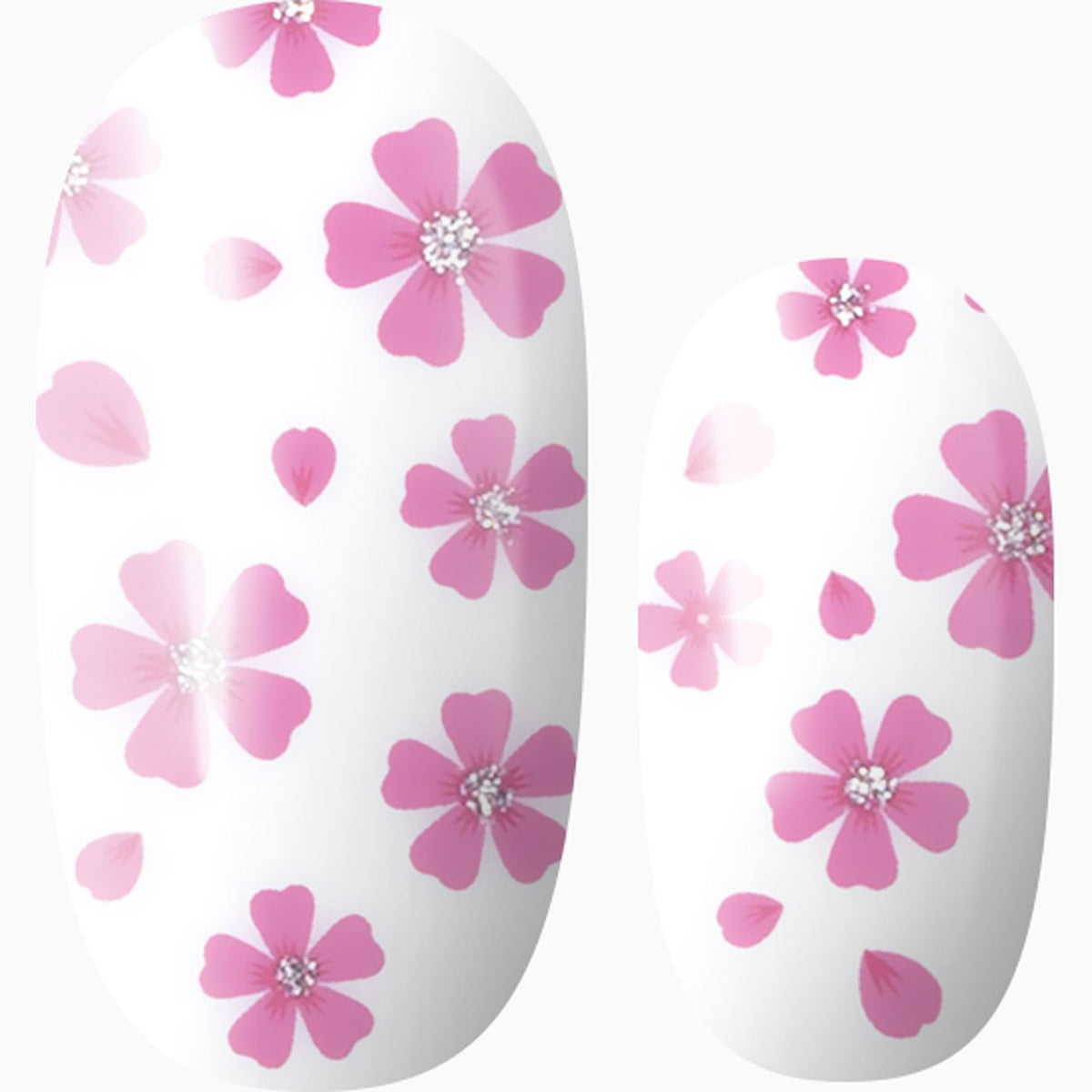 Cherry Blossom Shimmer