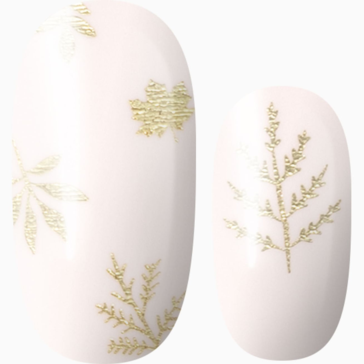 Golden Autumn Breeze