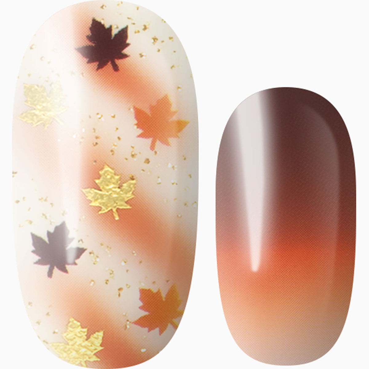 Autumn Stroll