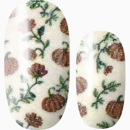 Pumpkin Blossoms