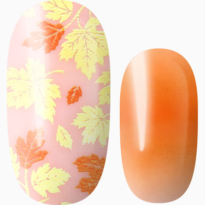 Orange You Glad It’s Fall?