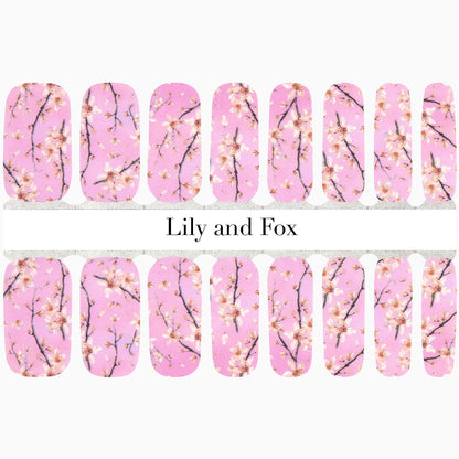 Cherry Blossom Season (Pink)